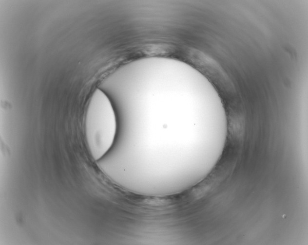 X0000091370367200708101119