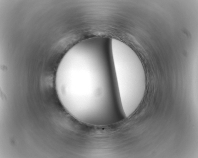 X0000091370368200708101119