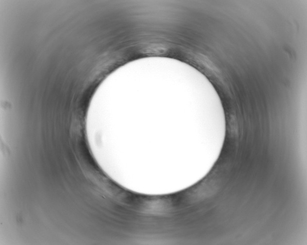 X0000091370370200708101119