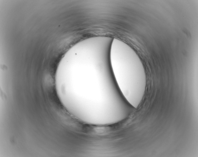 X0000091370371200708101119