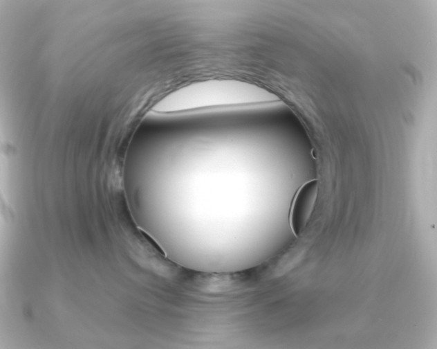X0000091370384200708101119