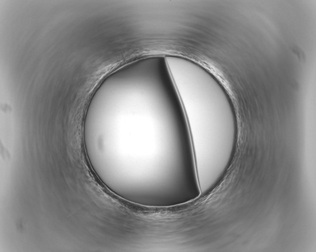 X0000091370385200708101118
