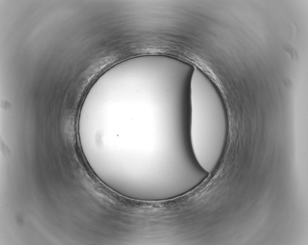 X0000091370386200708101118