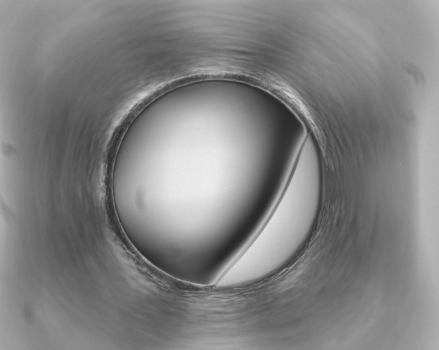 X0000091370387200708101118