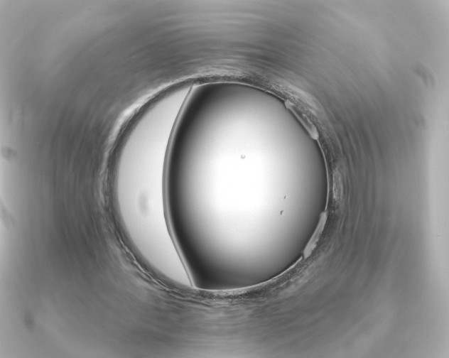 X0000091370388200708101118