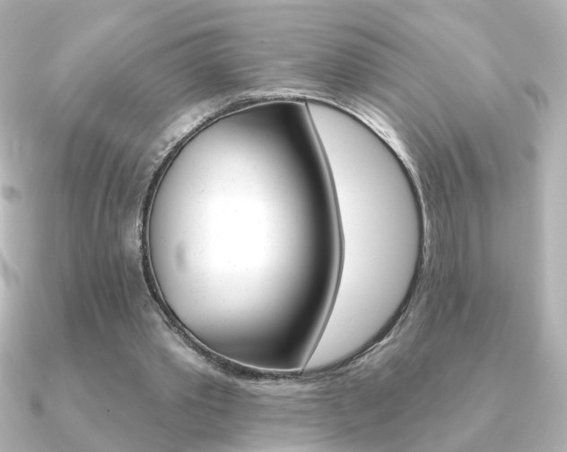 X0000091370389200708101118