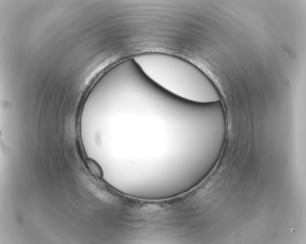 X0000091370390200708101118