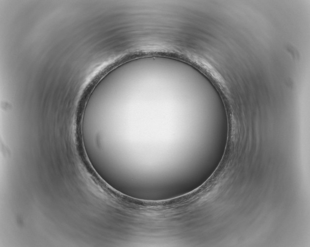 X0000091370391200708101118