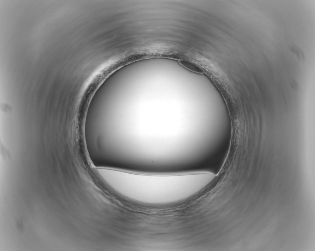 X0000091370392200708101118