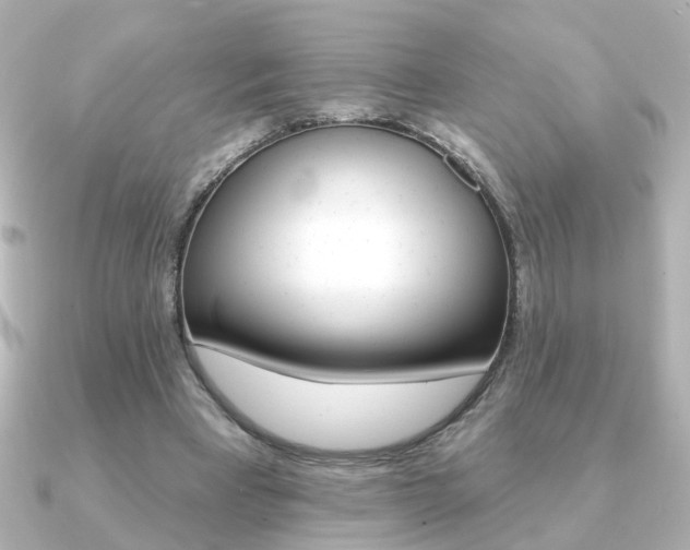 X0000091370393200708101118