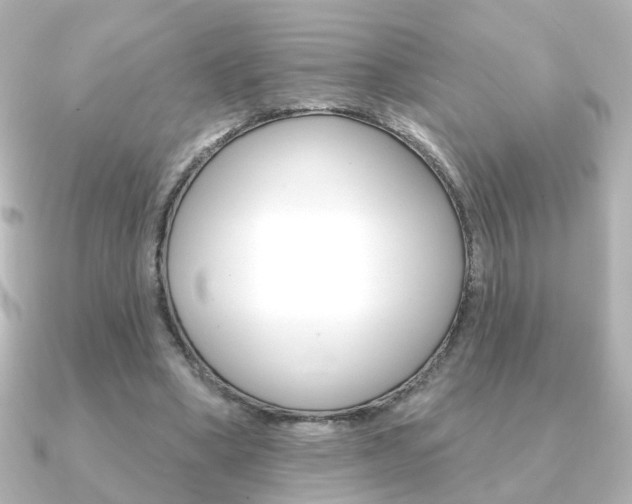 X0000091370394200708101118
