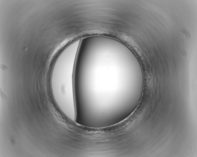 X0000091370395200708101118
