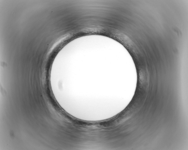 X0000091370396200708101118