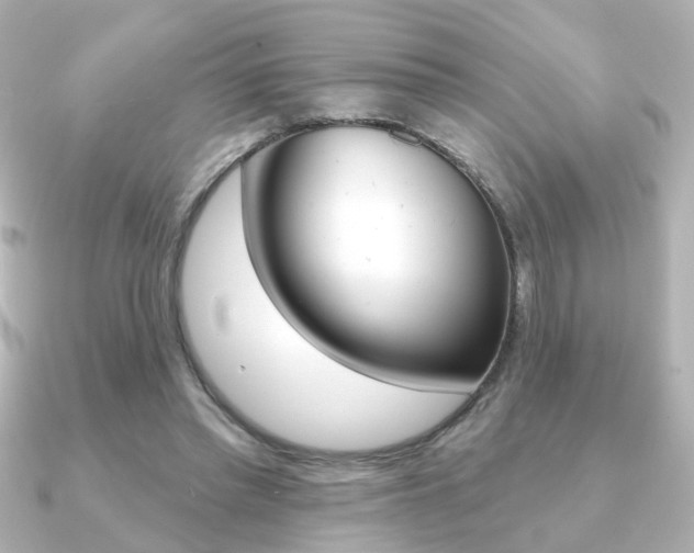 X0000091370397200708101118