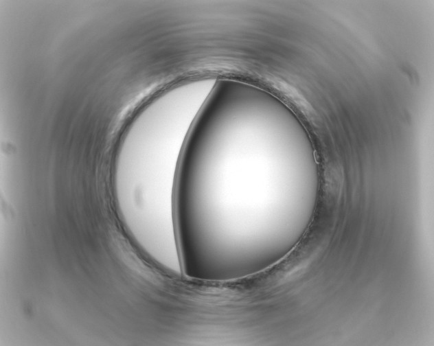 X0000091370399200708101118