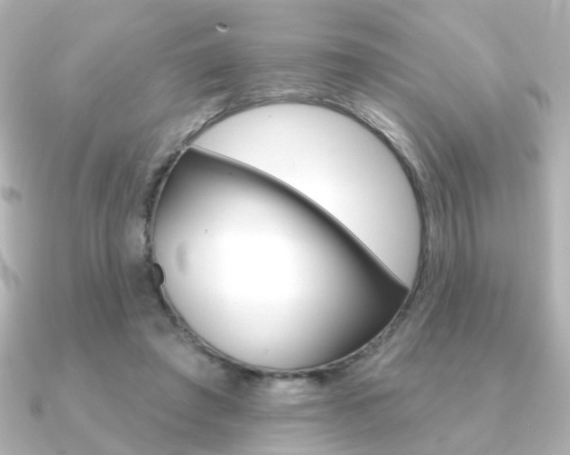 X0000091370401200708101118