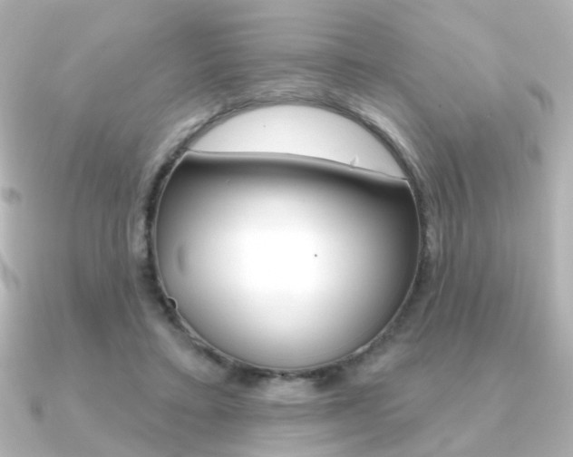 X0000091370403200708101118