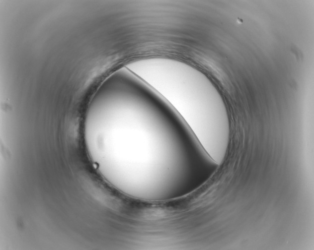 X0000091370404200708101118