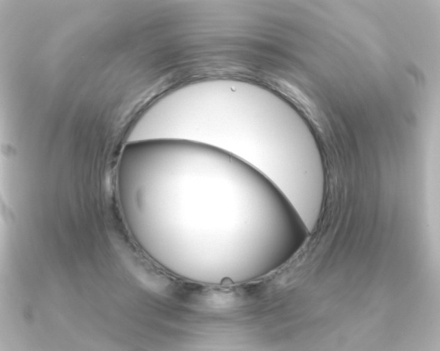 X0000091370405200708101118