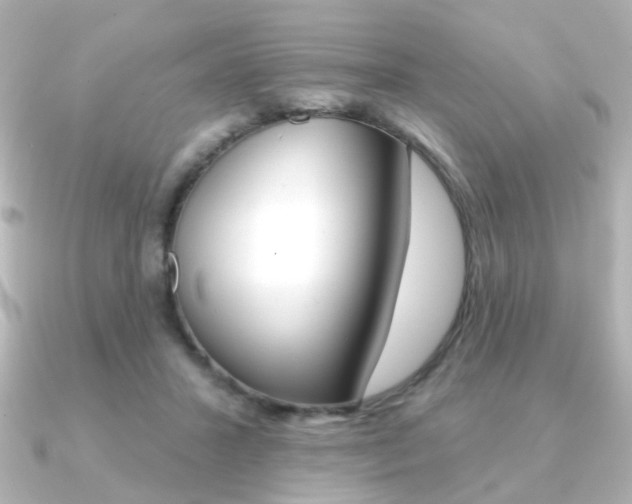 X0000091370407200708101118