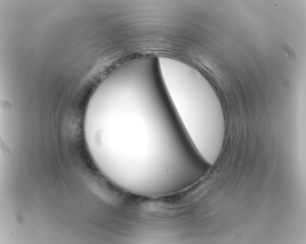 X0000091370408200708101118