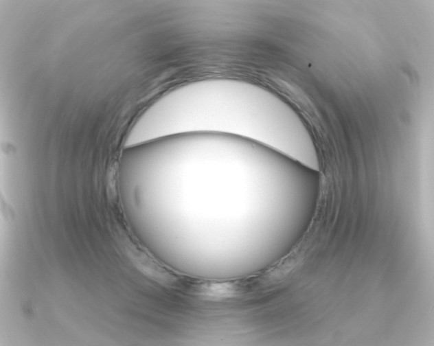X0000091370409200708101118