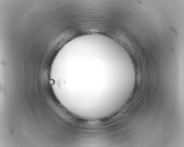 X0000091370410200708101118