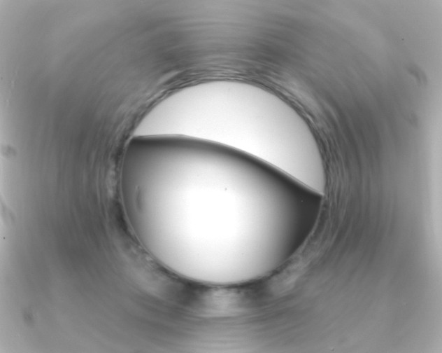 X0000091370413200708101118