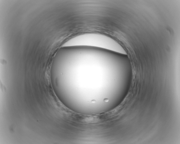 X0000091370415200708101118