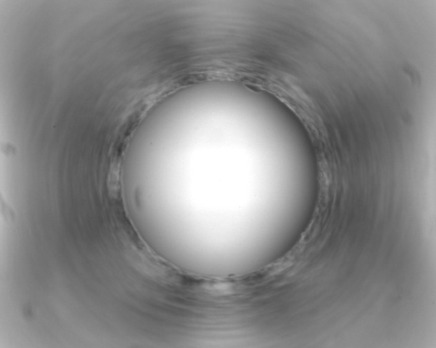 X0000091370419200708101118
