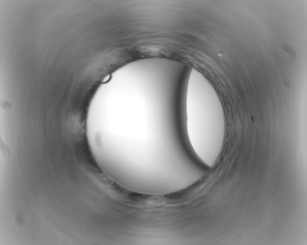 X0000091370420200708101118