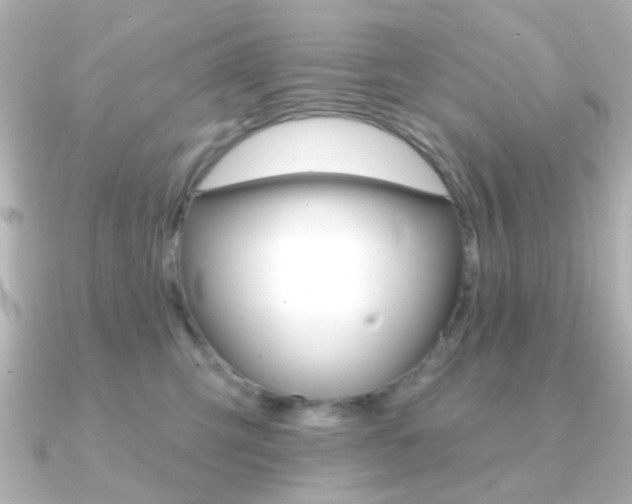 X0000091370423200708101118