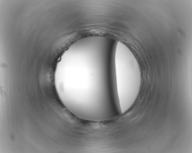 X0000091370424200708101118