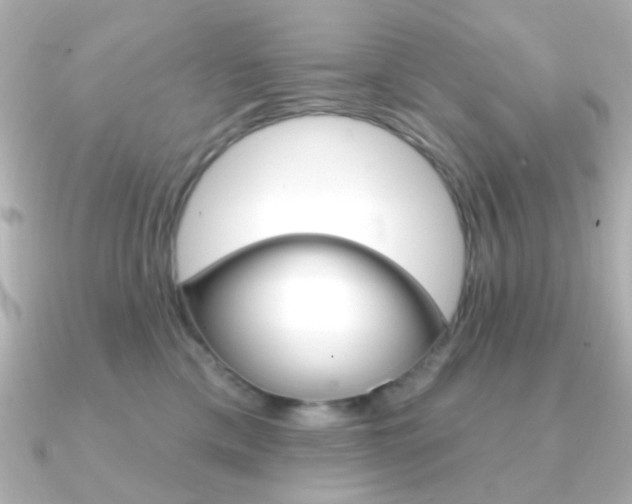 X0000091370425200708101118