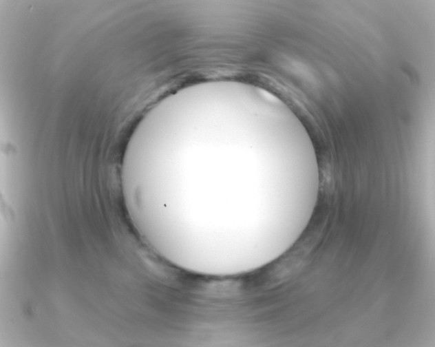 X0000091370426200708101118