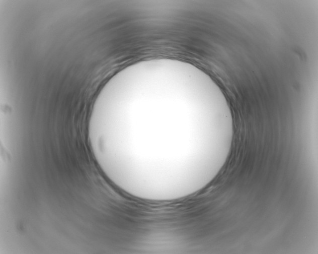 X0000091370428200708101118