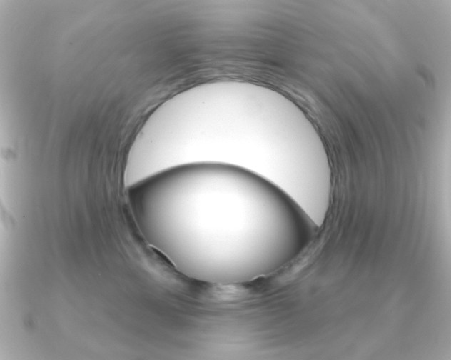 X0000091370429200708101118