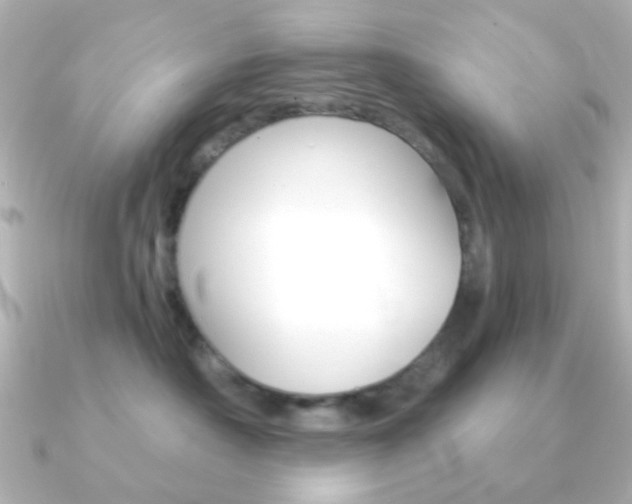 X0000091370430200708101118