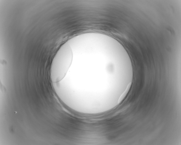 X0000091370431200708101118