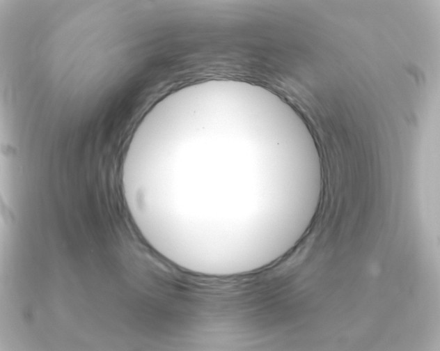X0000091370432200708101118