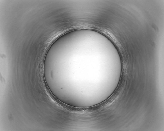 X0000091370433200708101117