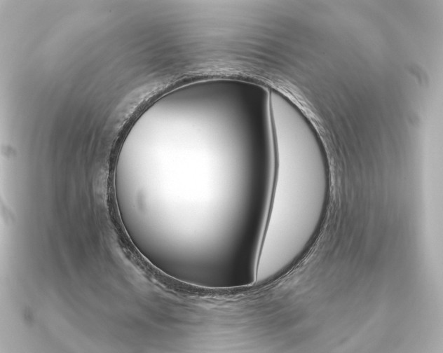 X0000091370434200708101117