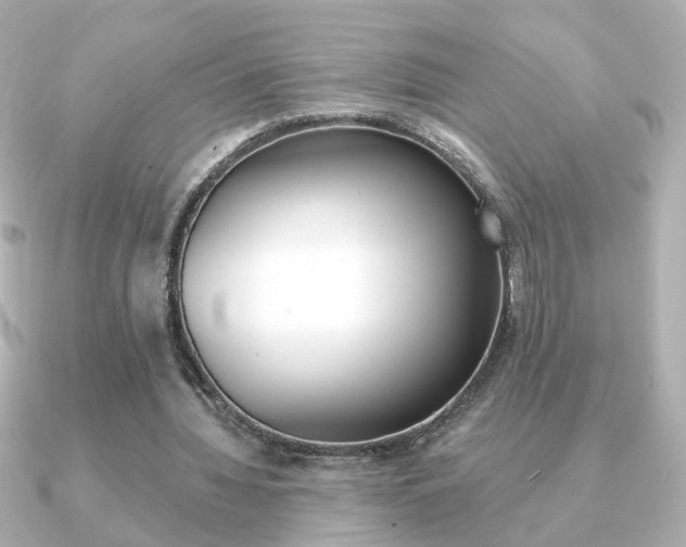 X0000091370436200708101117