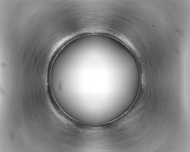 X0000091370438200708101117