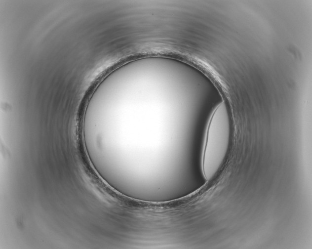 X0000091370439200708101117