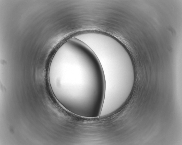 X0000091370440200708101117