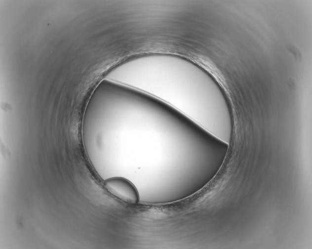 X0000091370441200708101117