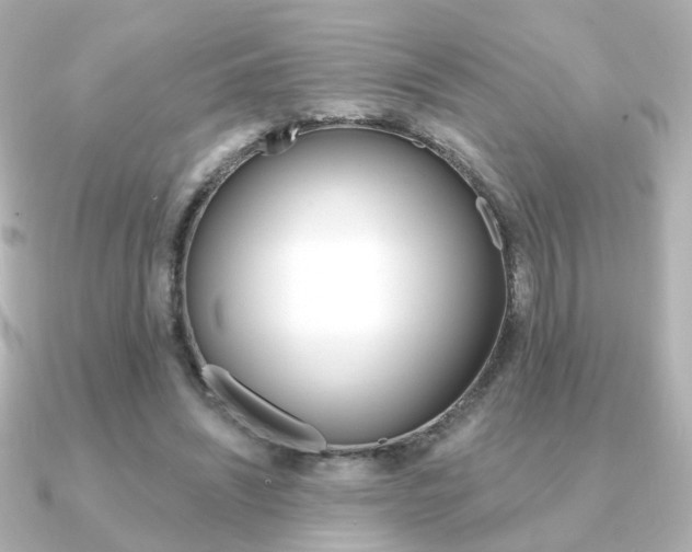 X0000091370444200708101117