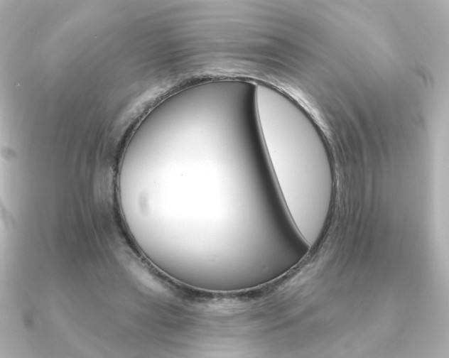 X0000091370445200708101117