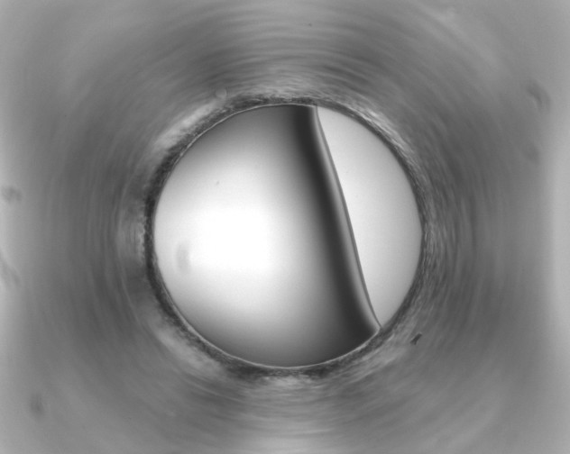 X0000091370446200708101117